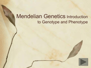 Mendelian Genetics: Introduction to genotype and Phenotype