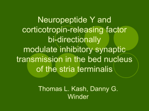 Neuropeptide Y and corticotropin-releasing factor bi