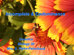 Incomplete & Codominance Powerpoint