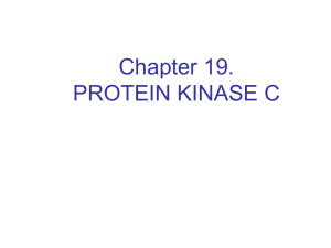 Chapter 19. PROTEIN KINASE C