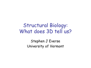 Structural Biology: What does 3D tell us?