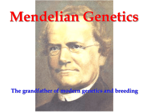 Mendelian Genetics - An