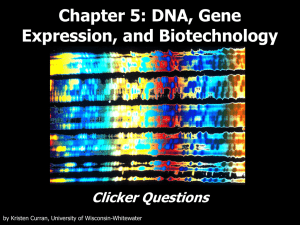 DNA, Gene Expression, and Biotechnology Clicker Questions