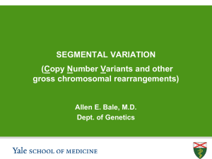 segmental variation