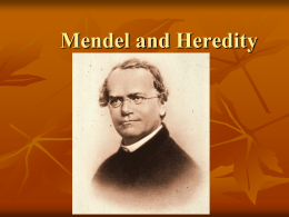 mendel and the deviations essay mendel and the deviations essay
