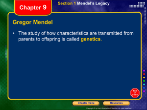 Section 1 Mendel`s Legacy Chapter 9 Gregor Mendel, continued