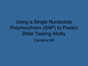Using a Single Nucleotide Polymorphism (SNP) to