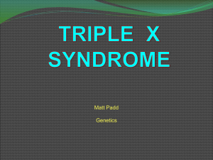 triple X - trefzclasses