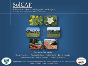 Executive Commitee - SolCAP