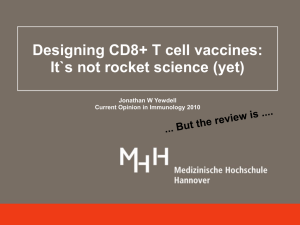Designing CD8+ T cell vaccines