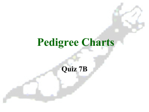How to work Pedigree Charts
