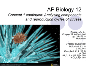 AP Biology 12 Viruses