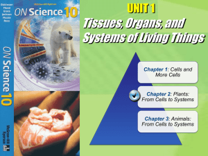 ON Science Chapter 2 Plant Cells to Systems Note