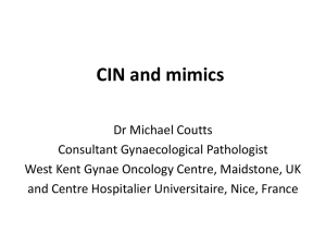 Mimics of CIN