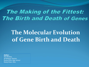 The Birth and Death Of Genes