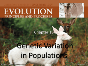 Chapter 13 Genetic Variation in Populations