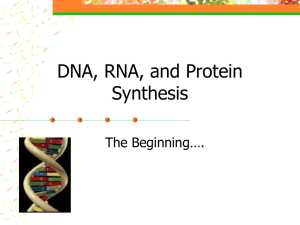 DNA, RNA, and Protein Synthesis ppt