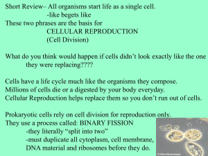 Cell Division Chapter 8