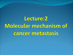 Lec2-Molecular-Mechanism-of-Cancer-Metastasis