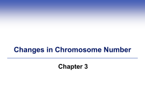 Changes in Chromosome Number