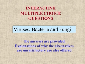 Interactive questions: Viruses, bacteria and fungi