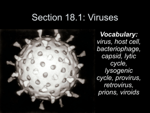Section 18.1: Viruses