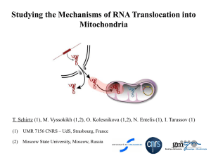 Studying the Mechanisms of RNA Translocation into Mitochondria