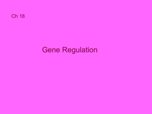 Bacterial Gene Regulation: Trp & Lac Operon Model