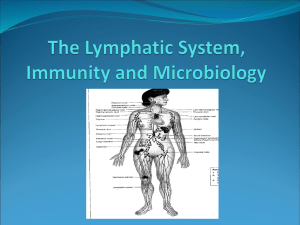 AMS_PowerPoint_The_Lymphatic_System_and_Immunity