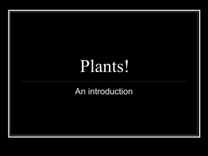 Plants! - BotsRule