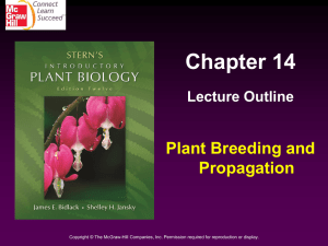 Stern Chapter 14 Final PPT