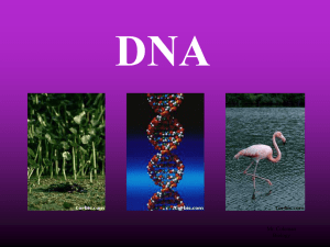 DNA_1