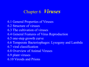 Viruses The Viruses