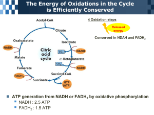 16.3 Regulation of the Citric Acid Cycle
