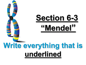 6-3 Mendel