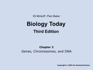 Biology 101 chpter 2