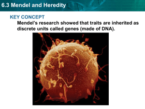 6.3 Mendel and Heredity