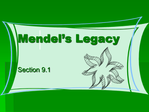 Mendel`s Legacy