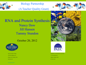 RNA Protein Synthesis - Panhandle Area Educational Consortium