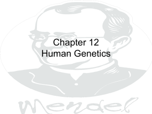 Chapter 12 Human Genetics
