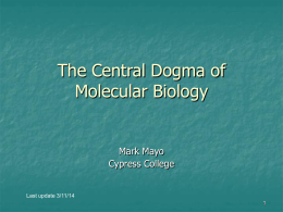 Molecular Biology buy already written essays Molecular Biology buy already written essays