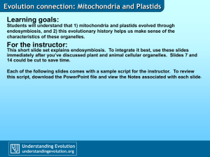 Evolution connection: Mitochondria and Plastids double membrane