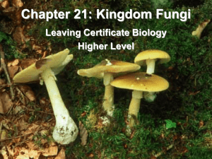 Fungi - Leaving Cert Biology