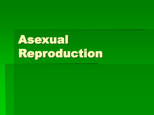 4 Asexual Reproduction