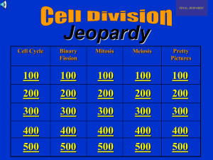 Cell Division Jeopardy