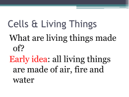 What are all living things made of?