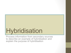 Hybridisation - WordPress.com