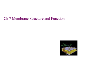 Cellular Membranes: Fluid Mosaic Model