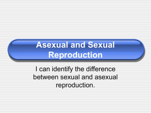 Asexual and Sexual Reproduction & Animal Development