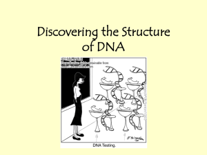 Discovering DNA: Structure and Replication